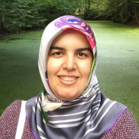 Psikolog Fatma Sibel Şahin